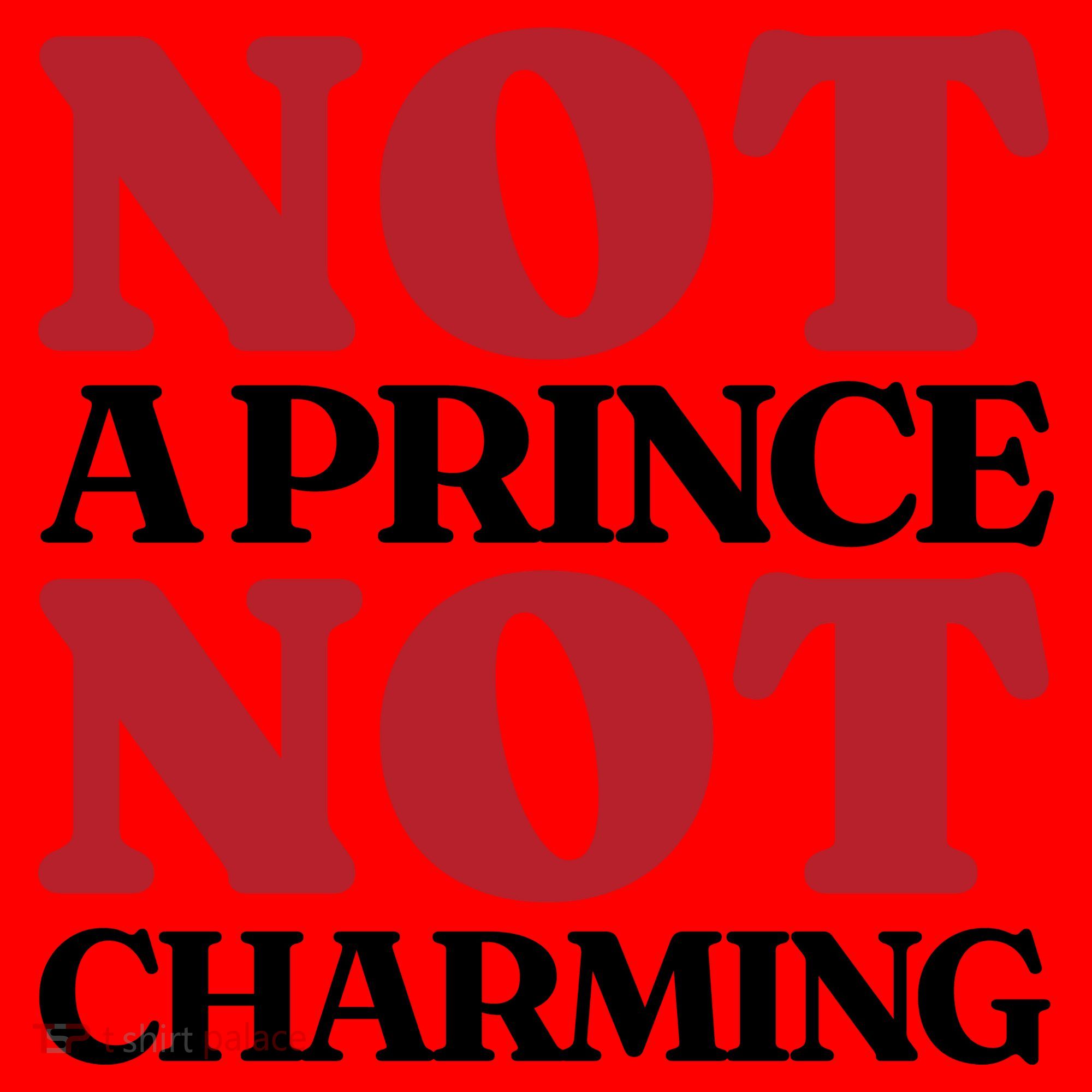 Not Prince Charming Funny Gift For Him Santa Hat
