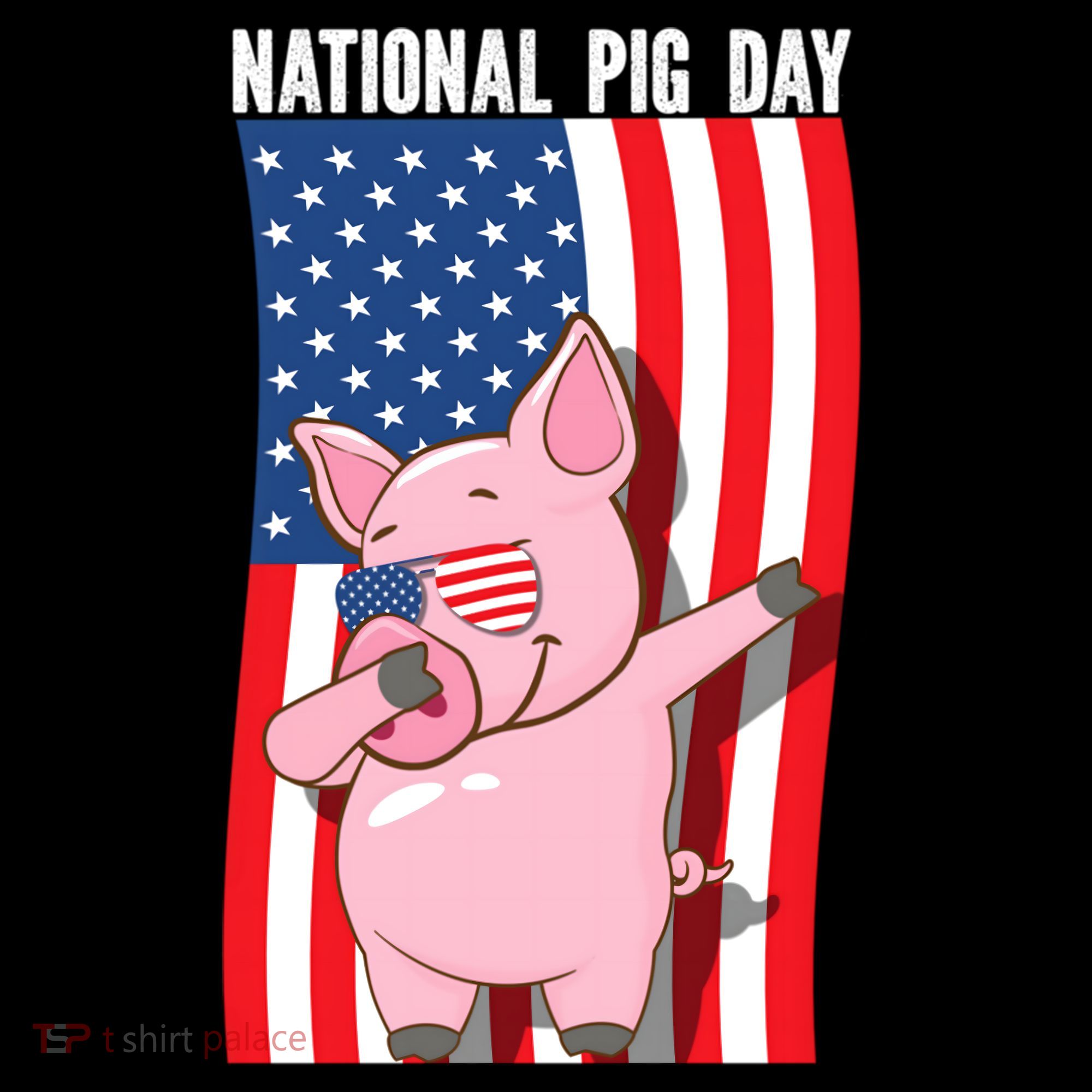 National Pig Day Dabbing Usa Flag Gift Women's Hoodie