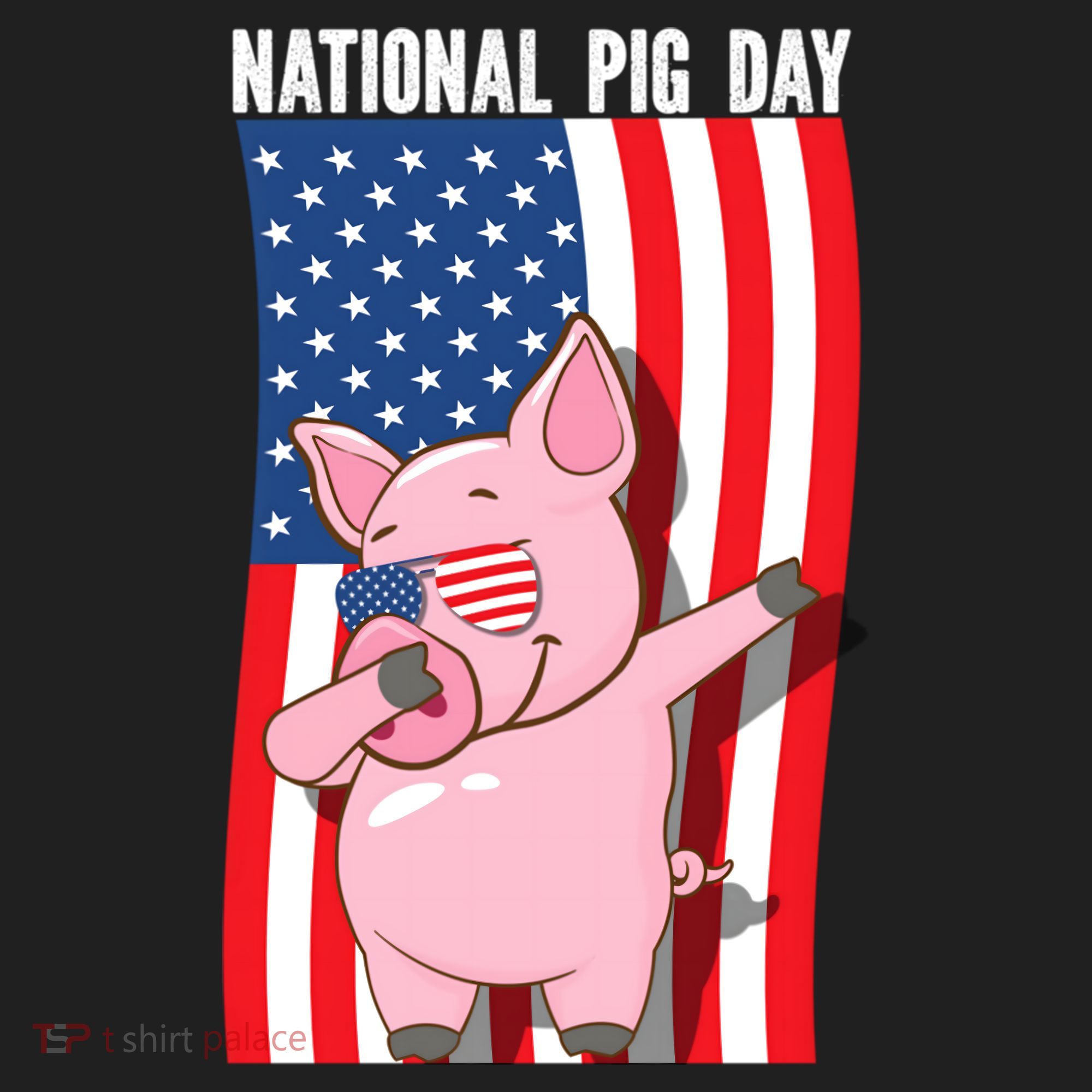 National Pig Day Dabbing Usa Flag Gift Hat