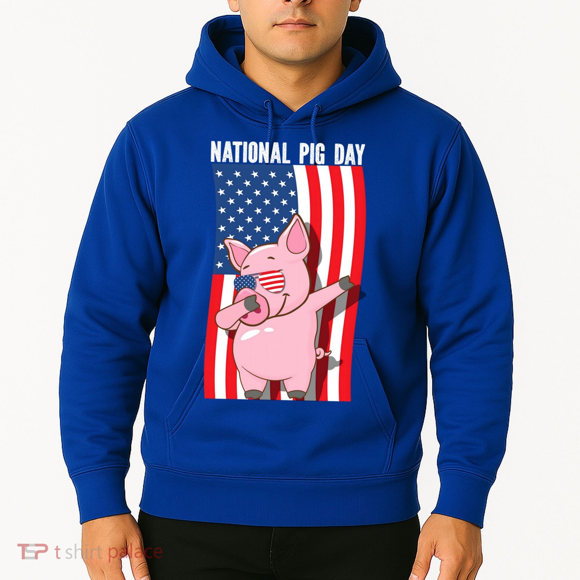 National Pig Day Dabbing Usa Flag Gift Hoodie