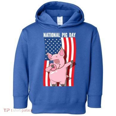 National Pig Day Dabbing Usa Flag Gift Toddler Hoodie