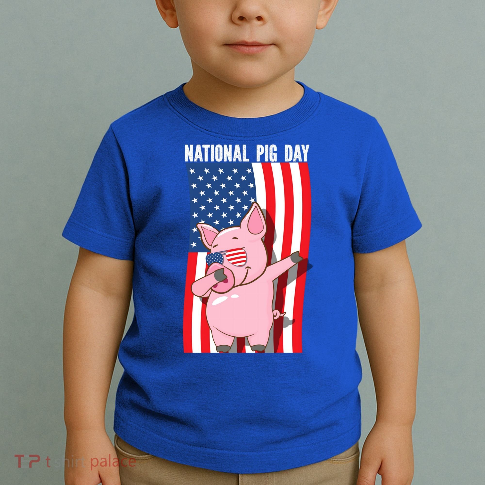 National Pig Day Dabbing Usa Flag Gift Toddler T-Shirt