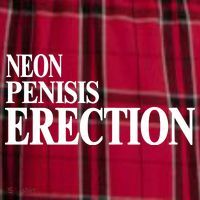 Neon Penisis Erection Men's Flannel Plaid Pajama Pants thumb 2