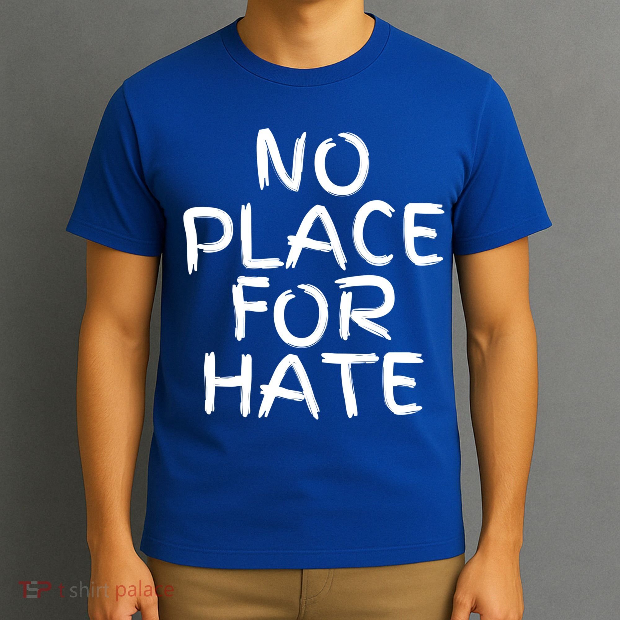 No Place For Hate Gift T-Shirt