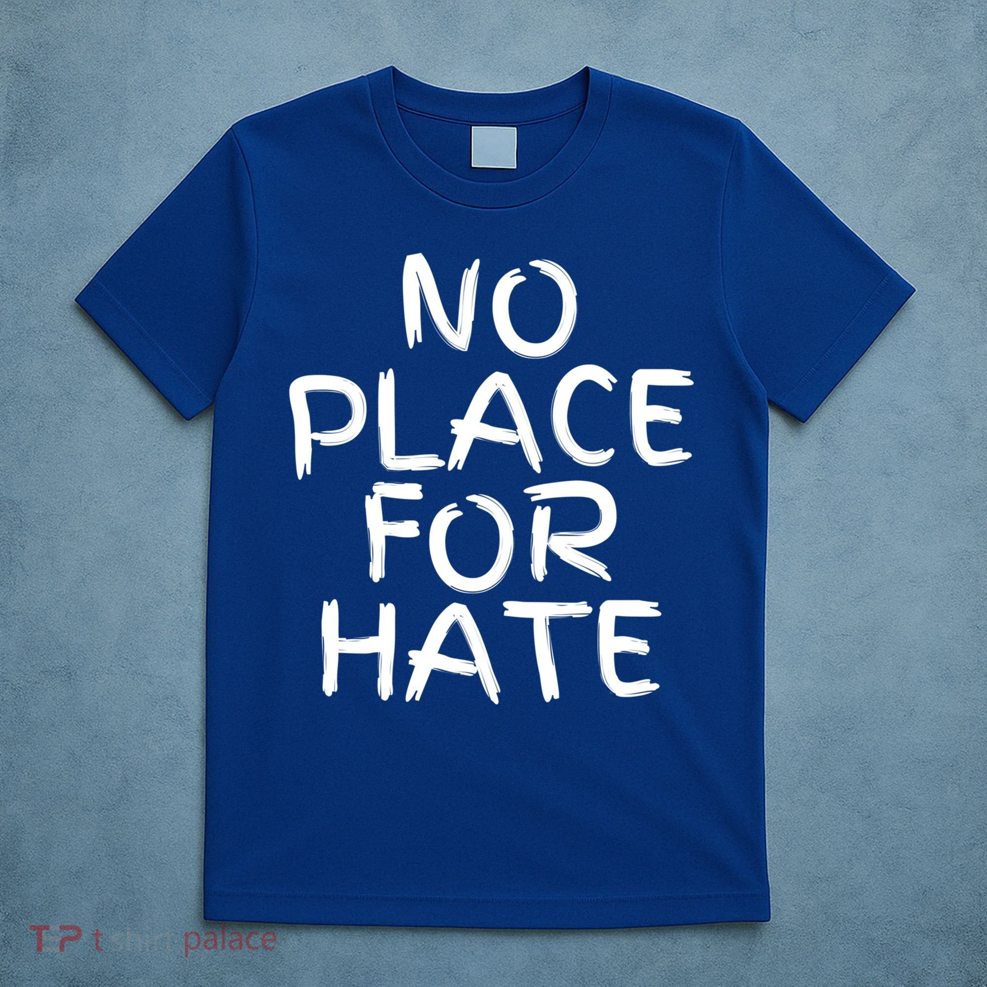 No Place For Hate Gift T-Shirt