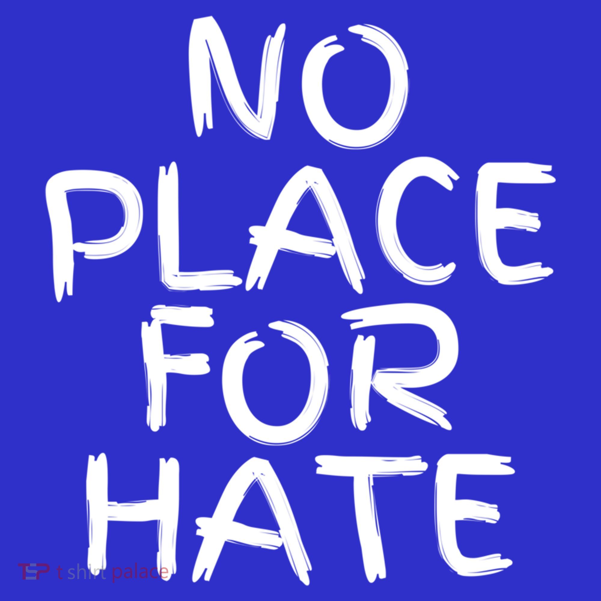 No Place For Hate Gift T-Shirt