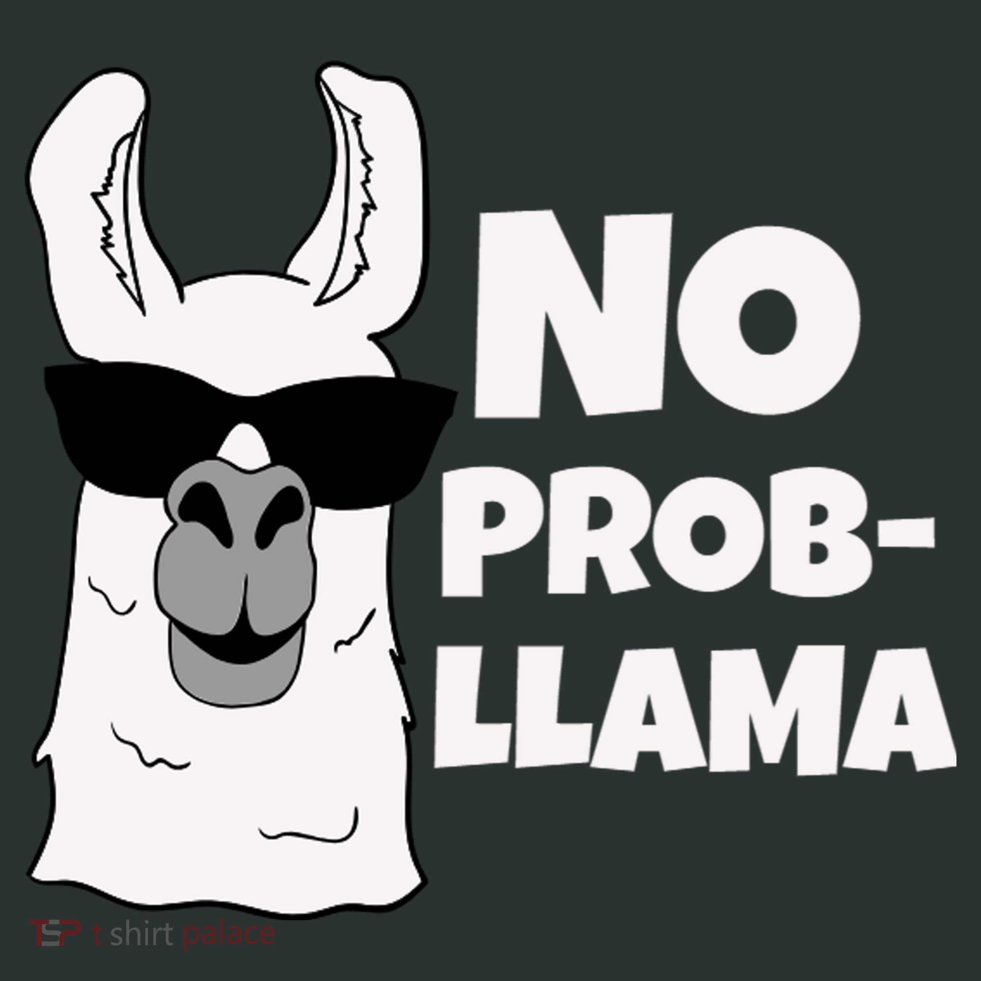 No Probllama Llama Problem Funny Coaster