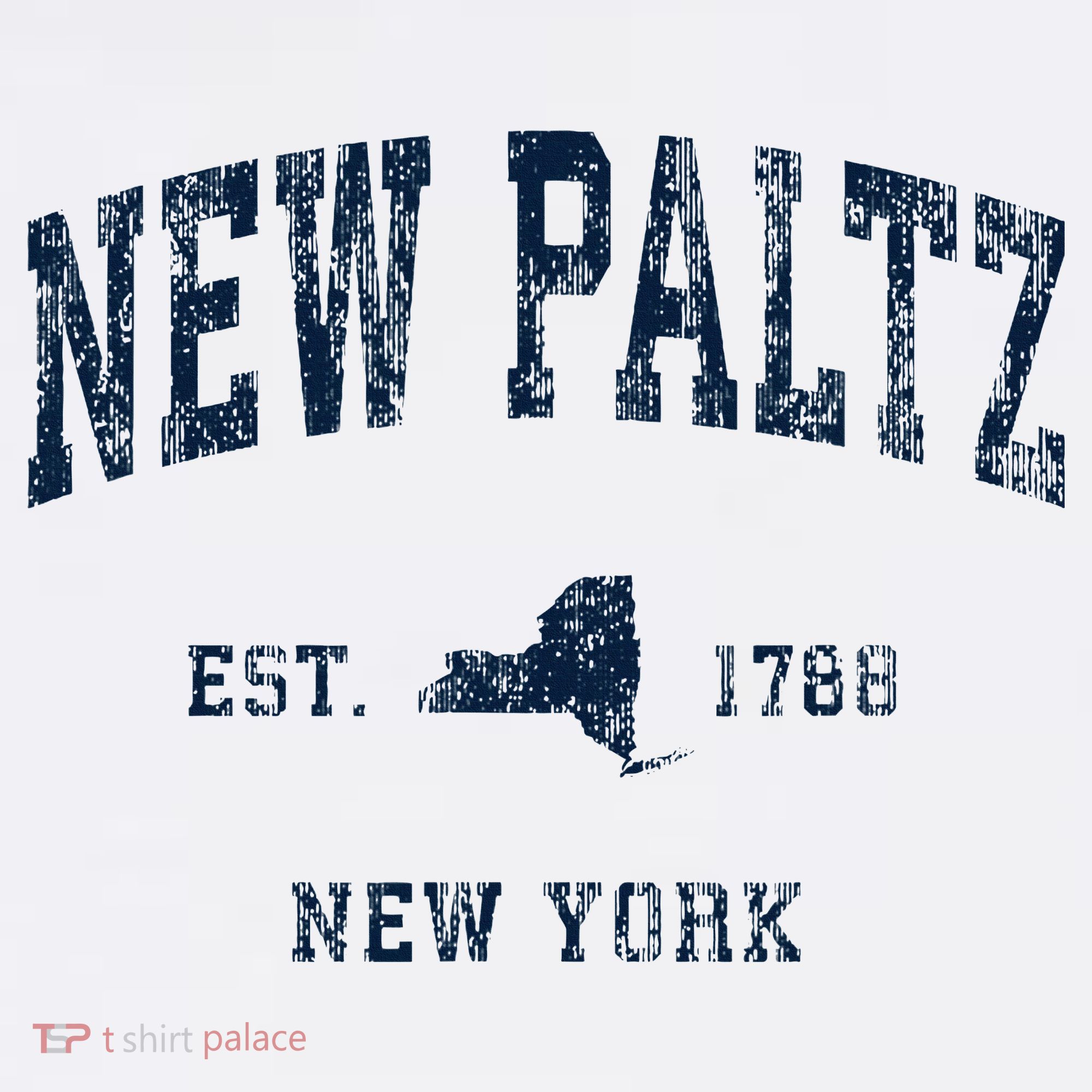 New Paltz New York Ny Vintage Athletic T-Shirt