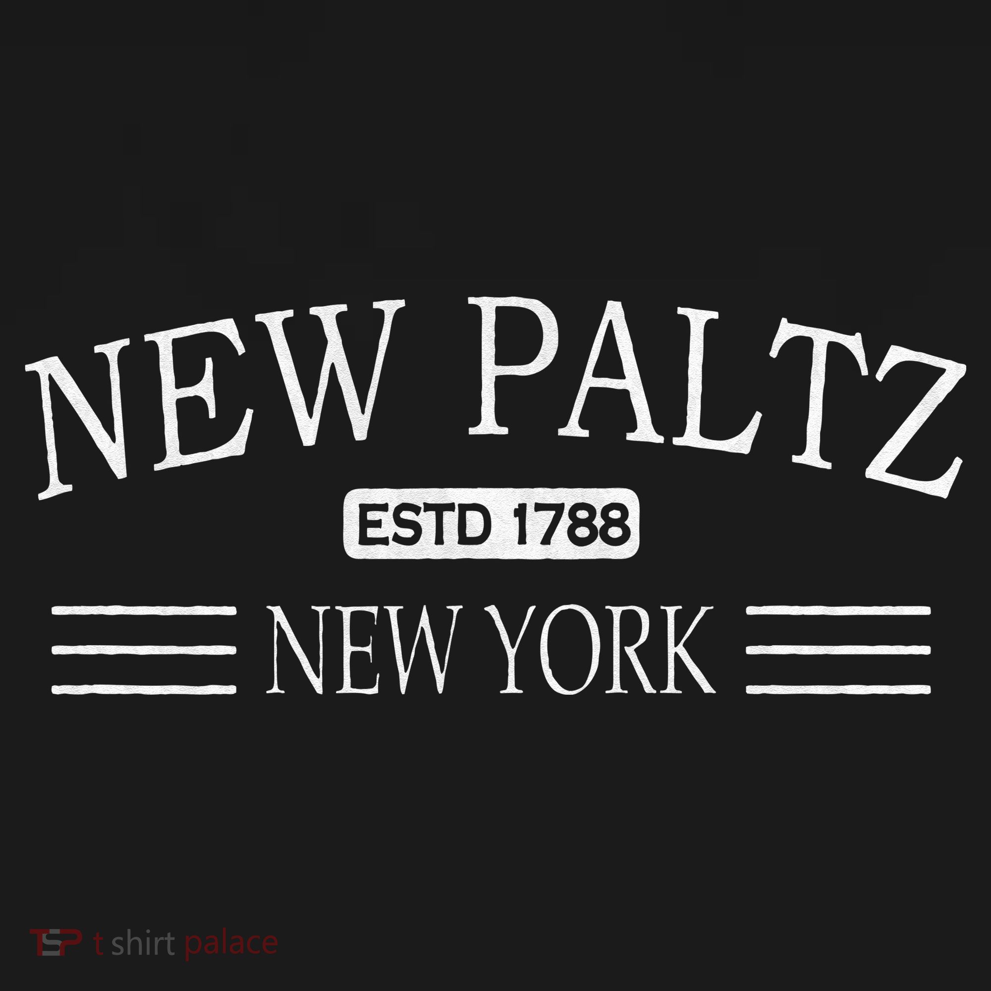 New Paltz New York NY T-Shirt