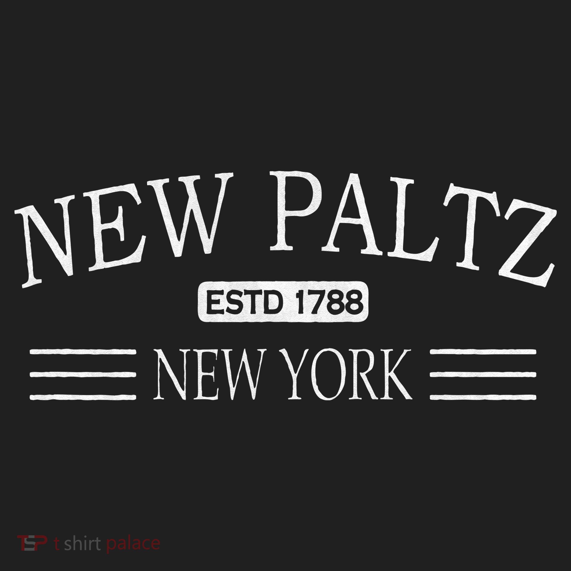New Paltz New York NY Tumbler