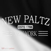 New Paltz New York NY Toddler Fine Jersey T-Shirt thumb 2