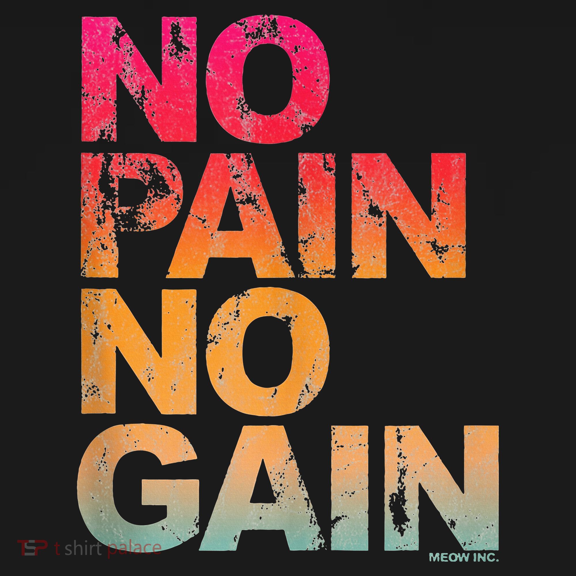 No Pain No Gain Motivation Workout Gym T-Shirt