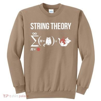 Nerd Physics Student Science Stringtheory Sweatshirt