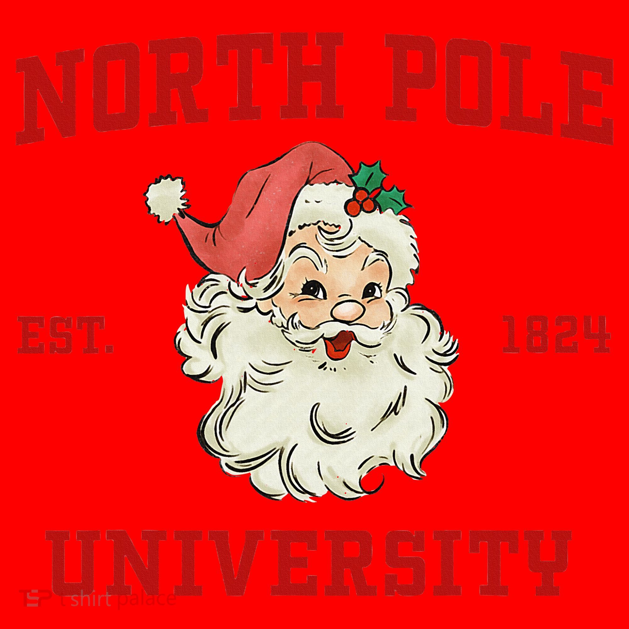 North Pole University Santa Claus Christmas College Funny Santa Hat