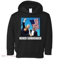 Never Surrender 2024 Take America Back Pennsylvania Rally Shooting Toddler Hoodie thumb 0