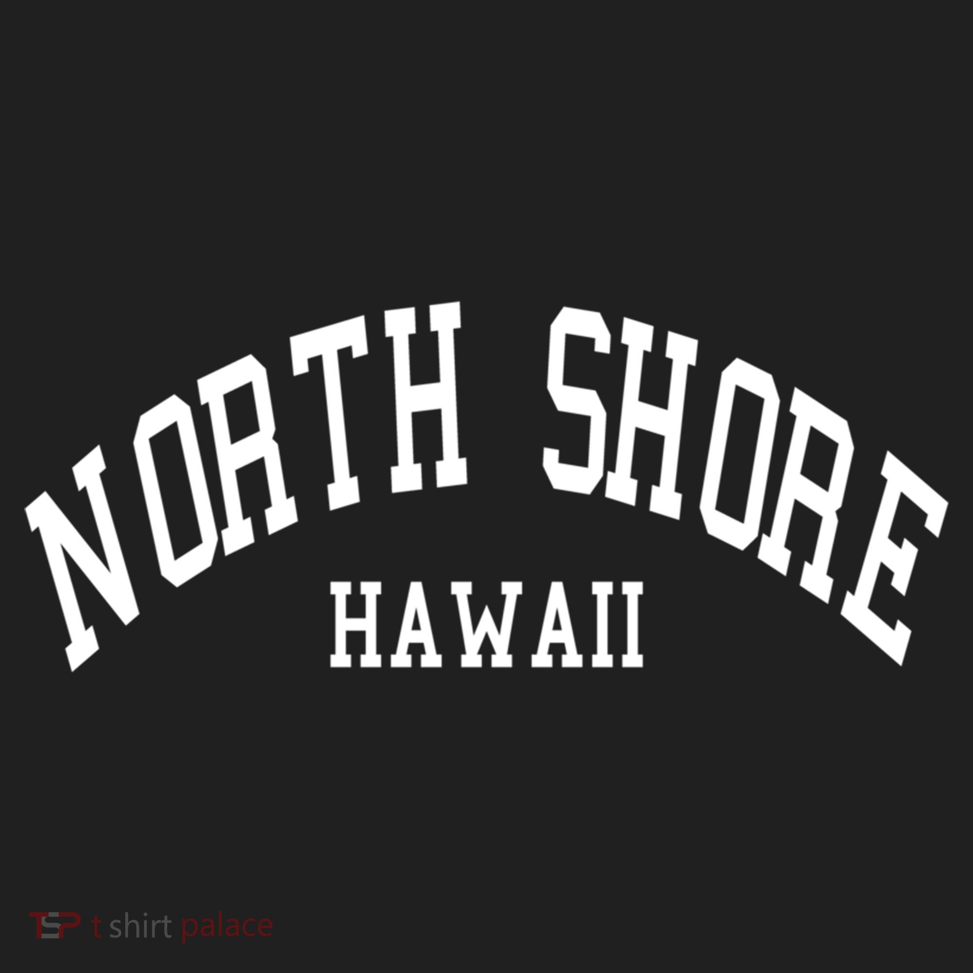 North Shore Aloha Hawaii Tribe Beach Gift Beanie