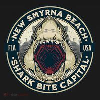 New Smyrna Beach Shark Bite Capital Of The World Graphic Women's Hoodie thumb 2