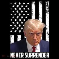 Never Surrender Donald Trump American Flag Mugshot Stripe Pom Pom Beanie thumb 2