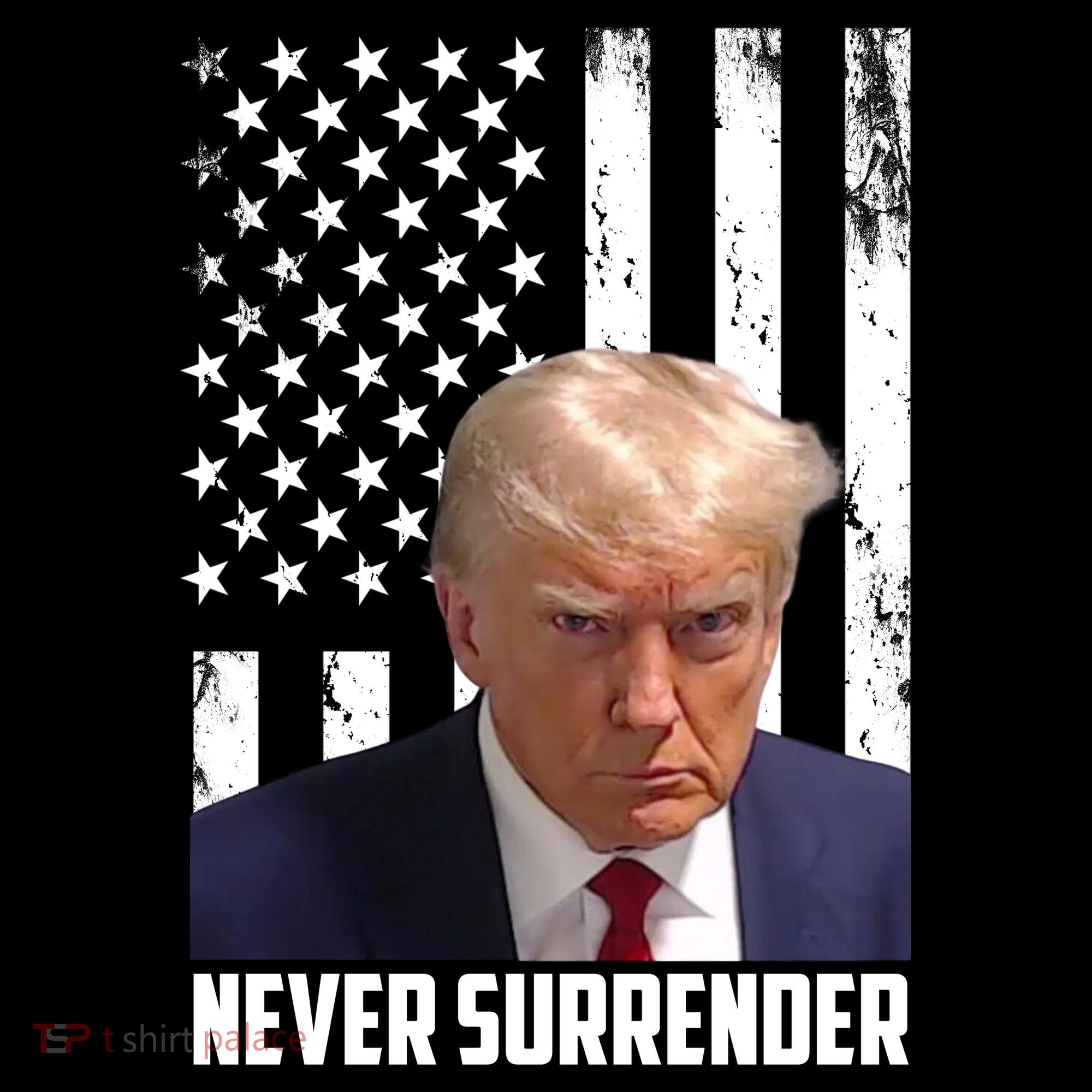 Never Surrender Donald Trump American Flag Mugshot Stripe Pom Pom Beanie