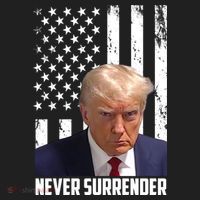 Never Surrender Donald Trump American Flag Mugshot Beanie thumb 2