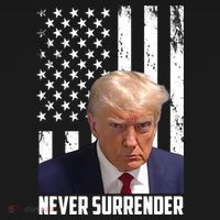 Never Surrender Donald Trump American Flag Mugshot Cropped Pullover Crew thumb 4