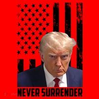 Never Surrender Donald Trump American Flag Mugshot Santa Hat thumb 1