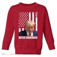 Never Surrender Donald Trump American Flag Mugshot Toddler Sweatshirt thumb 0