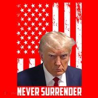 Never Surrender Donald Trump American Flag Mugshot Toddler Sweatshirt thumb 2