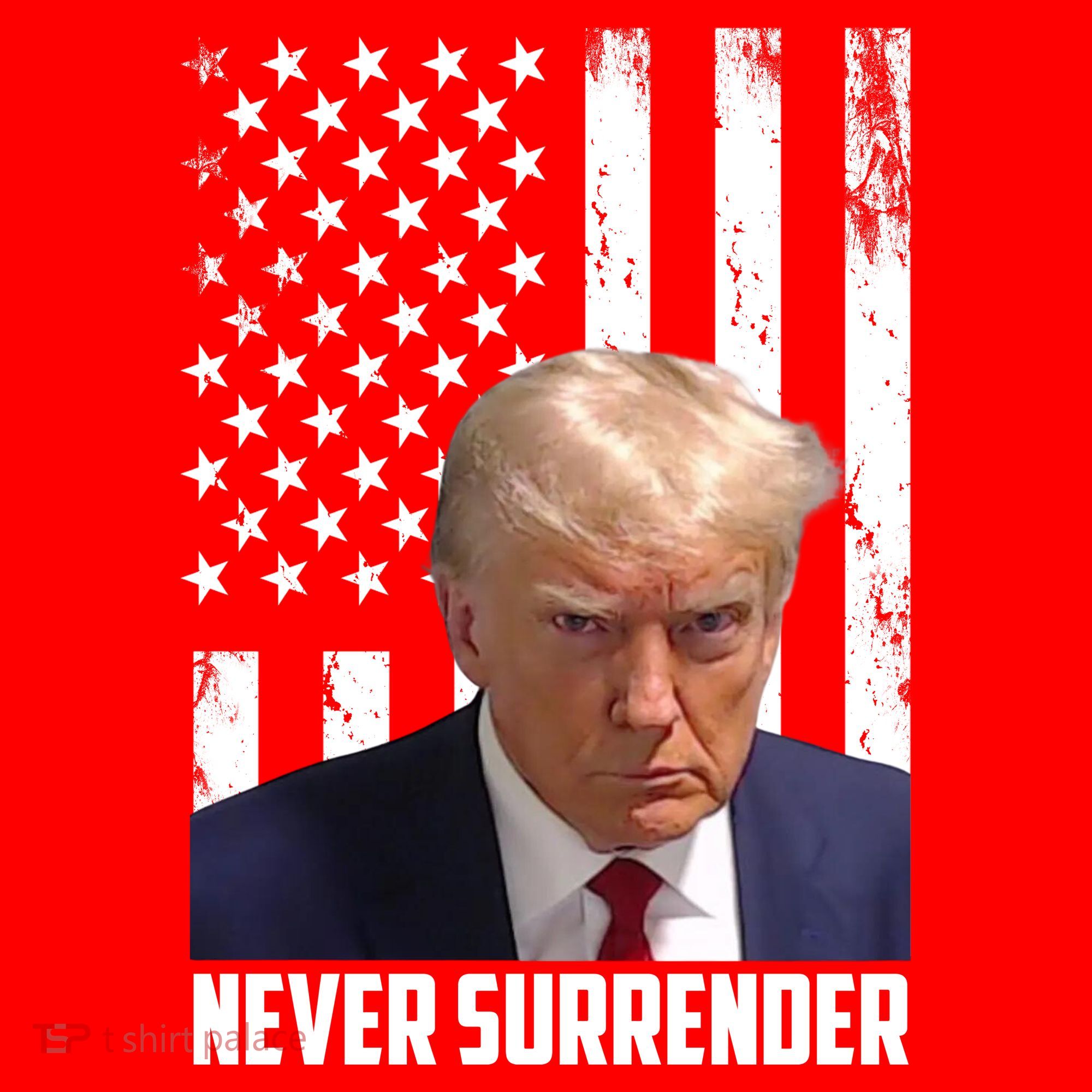 Never Surrender Donald Trump American Flag Mugshot Visor