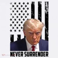 Never Surrender Donald Trump American Flag Mugshot Comfort Colors Garment-Dyed Hooded Sweatshirt thumb 2