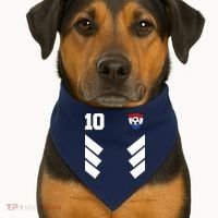 Netherlands Soccer Dutch Football 10 USA-Made Doggie Bandana thumb 1