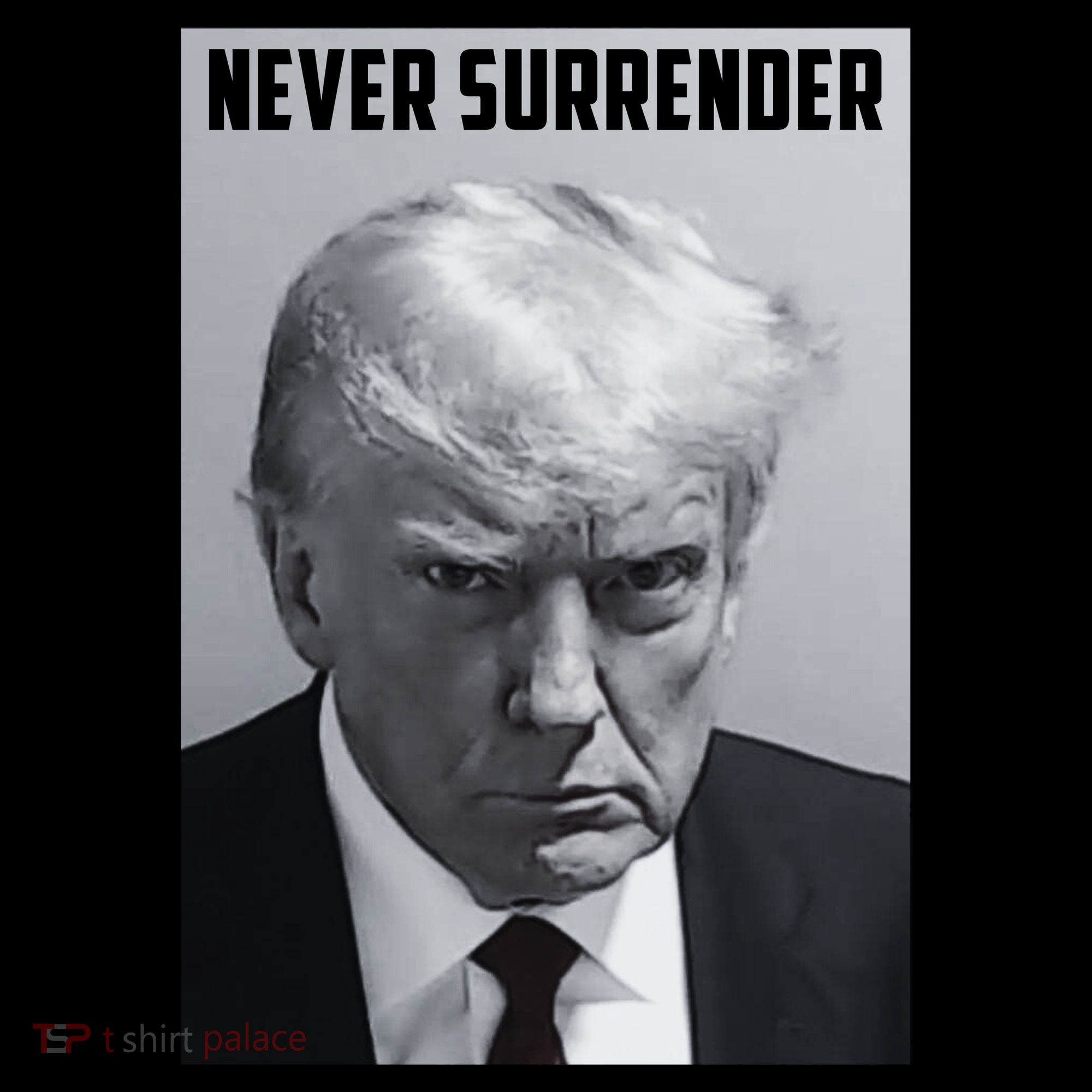 Never Surrender Donald Trump Mugshot Toddler Hoodie
