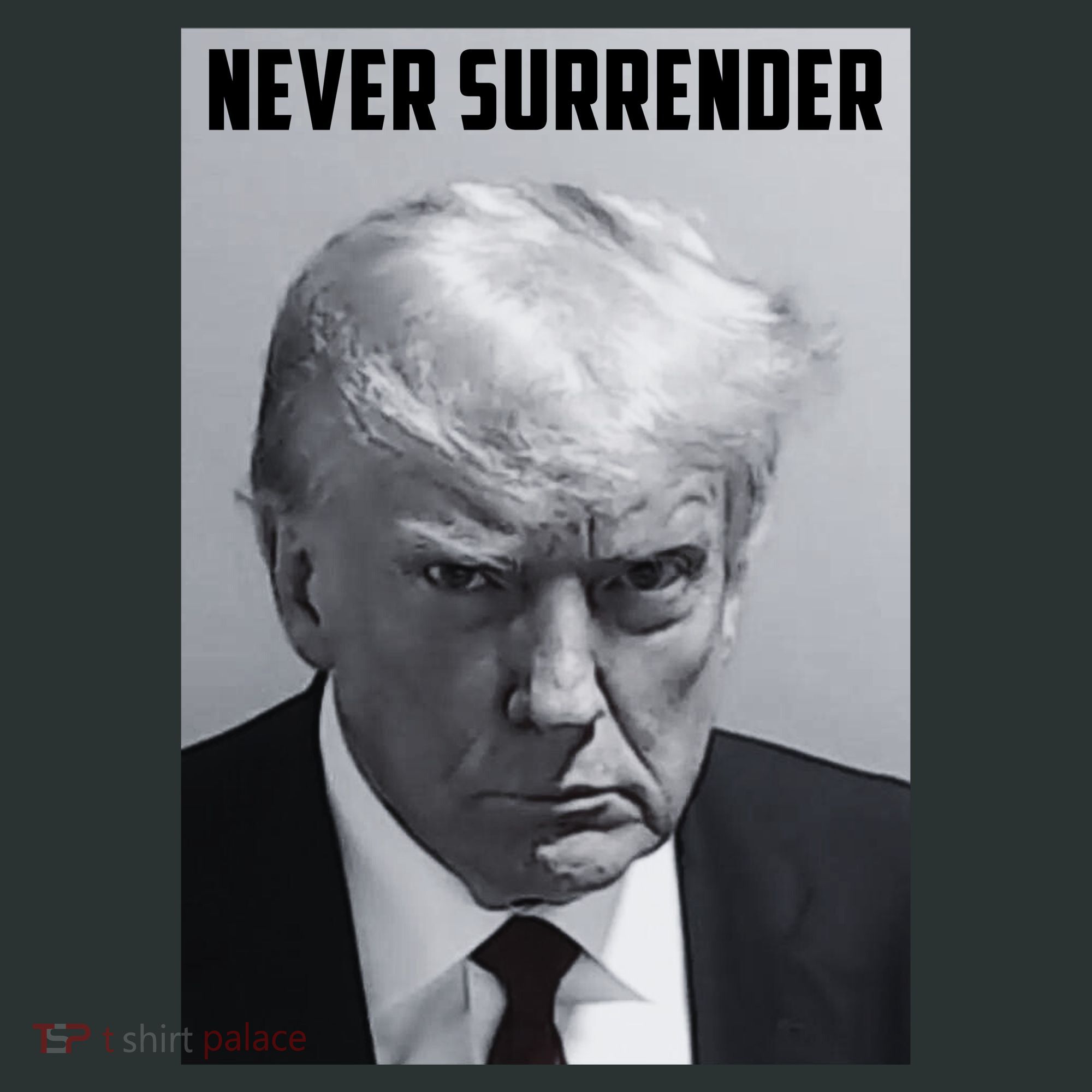 Never Surrender Donald Trump Mugshot Coaster