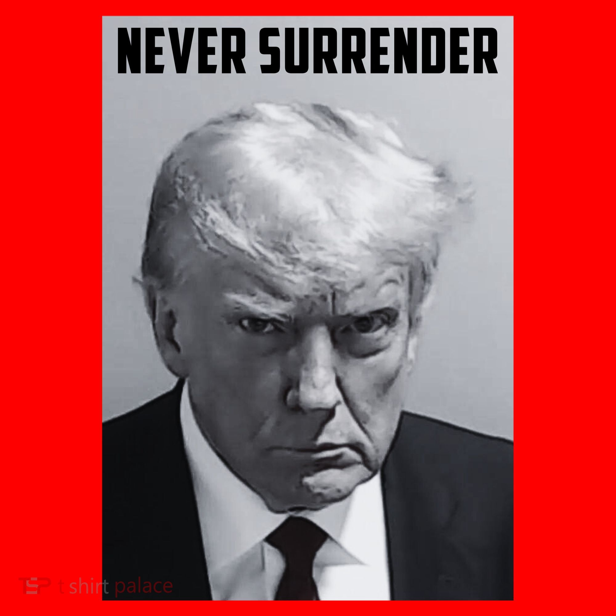 Never Surrender Donald Trump Mugshot Santa Hat
