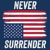 Never Surrender Distressed Usa Flag Save Our Republic Usa Under Distress Women's Hoodie thumb 2