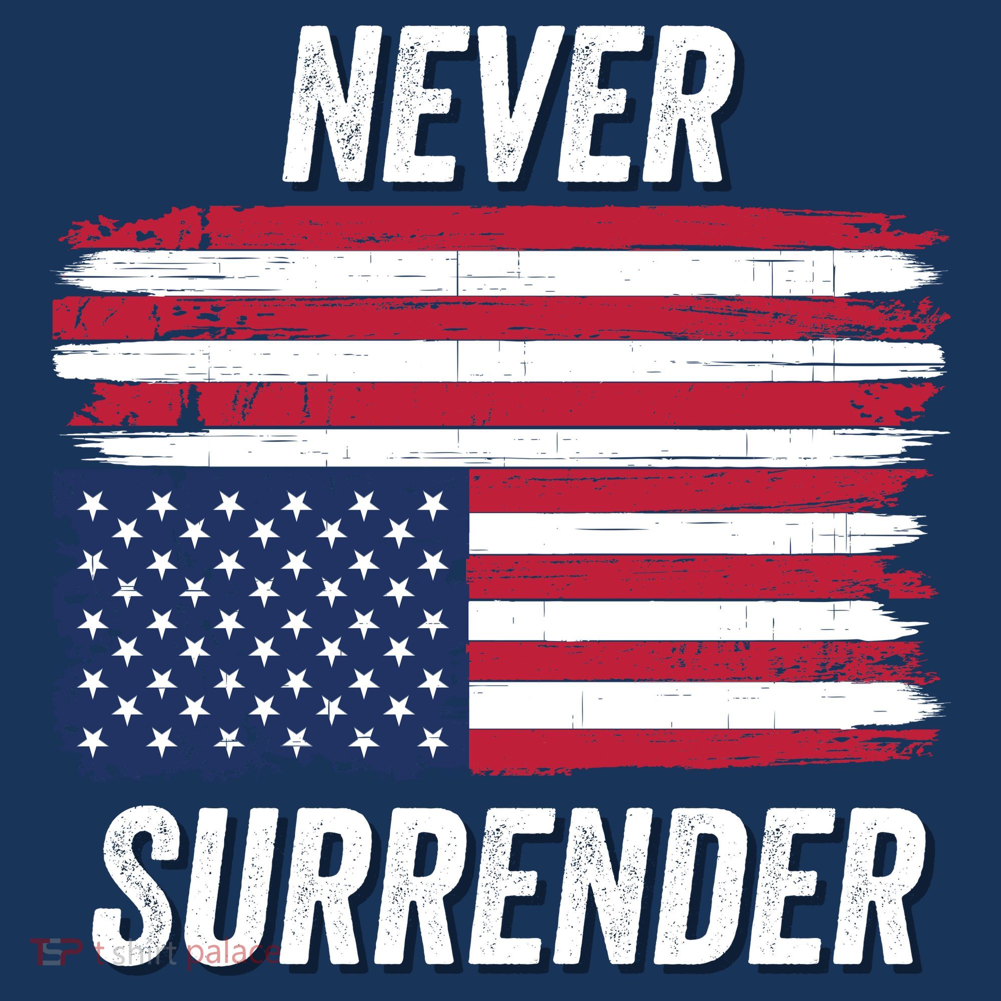 Never Surrender Distressed Usa Flag Save Our Republic Usa Under Distress Women's Hoodie