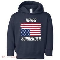 Never Surrender Distressed Usa Flag Save Our Republic Usa Under Distress Toddler Hoodie thumb 0