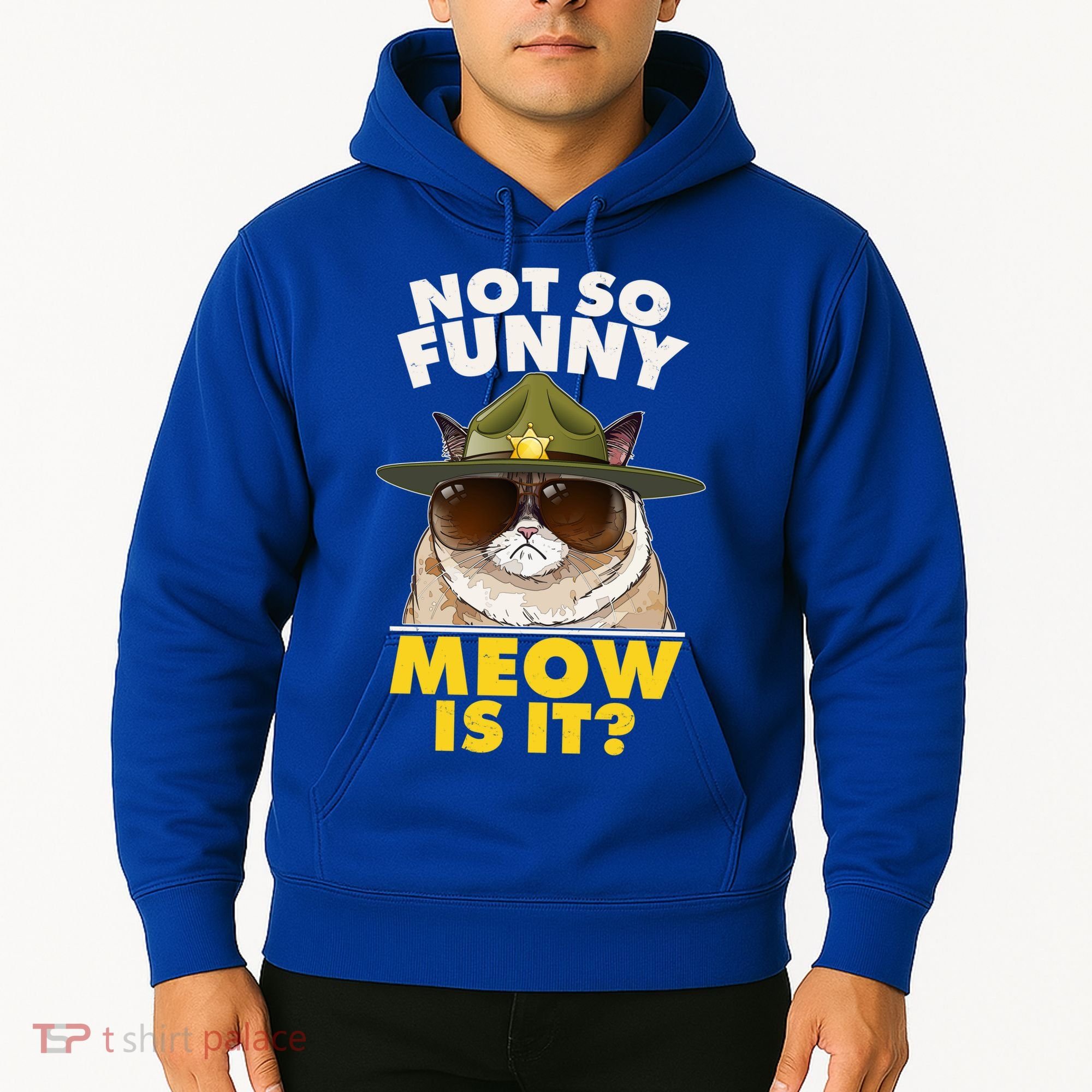 Not So Funny Meow Is It Grumpy Cat Police Trooper Hoodie