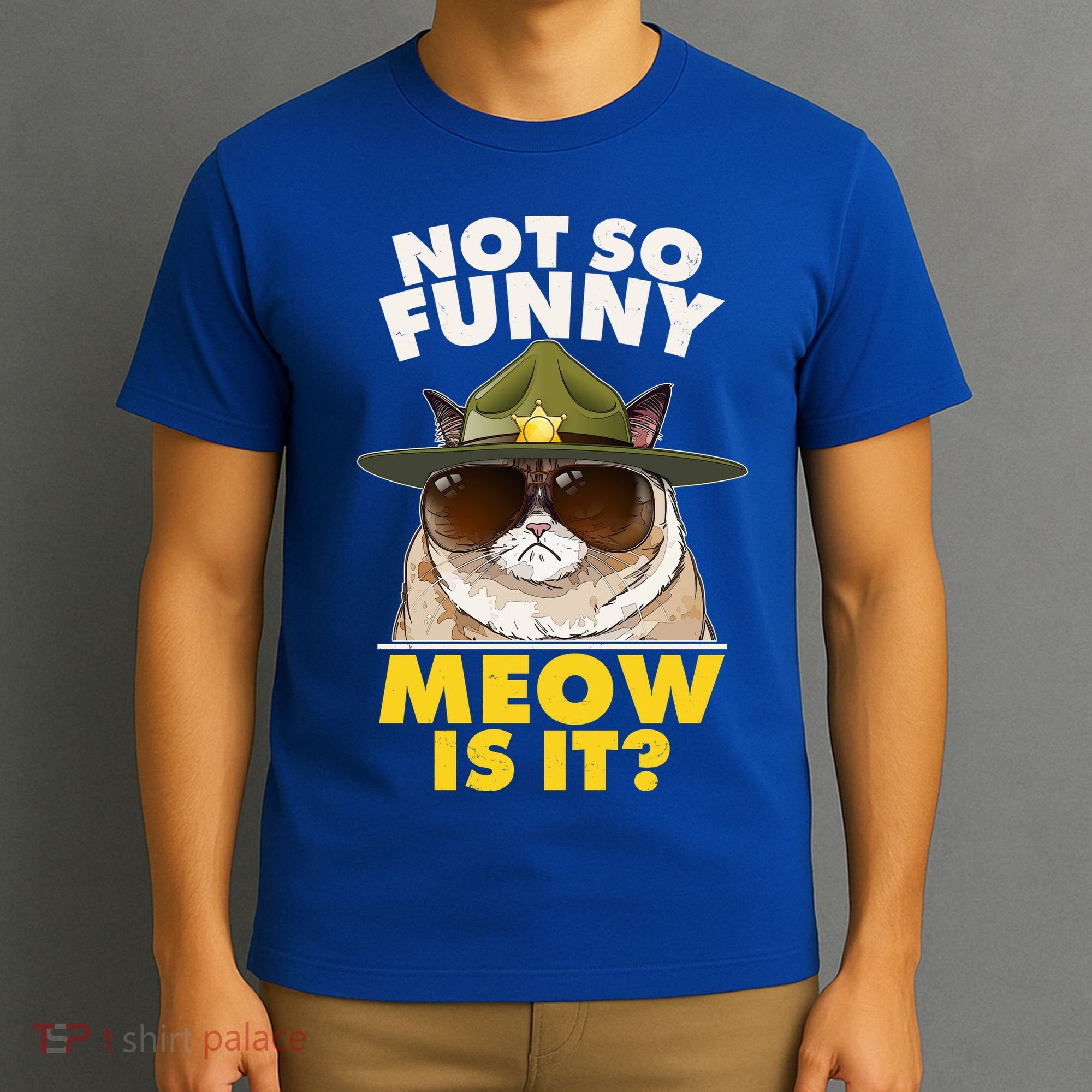Not So Funny Meow Is It Grumpy Cat Police Trooper T-Shirt
