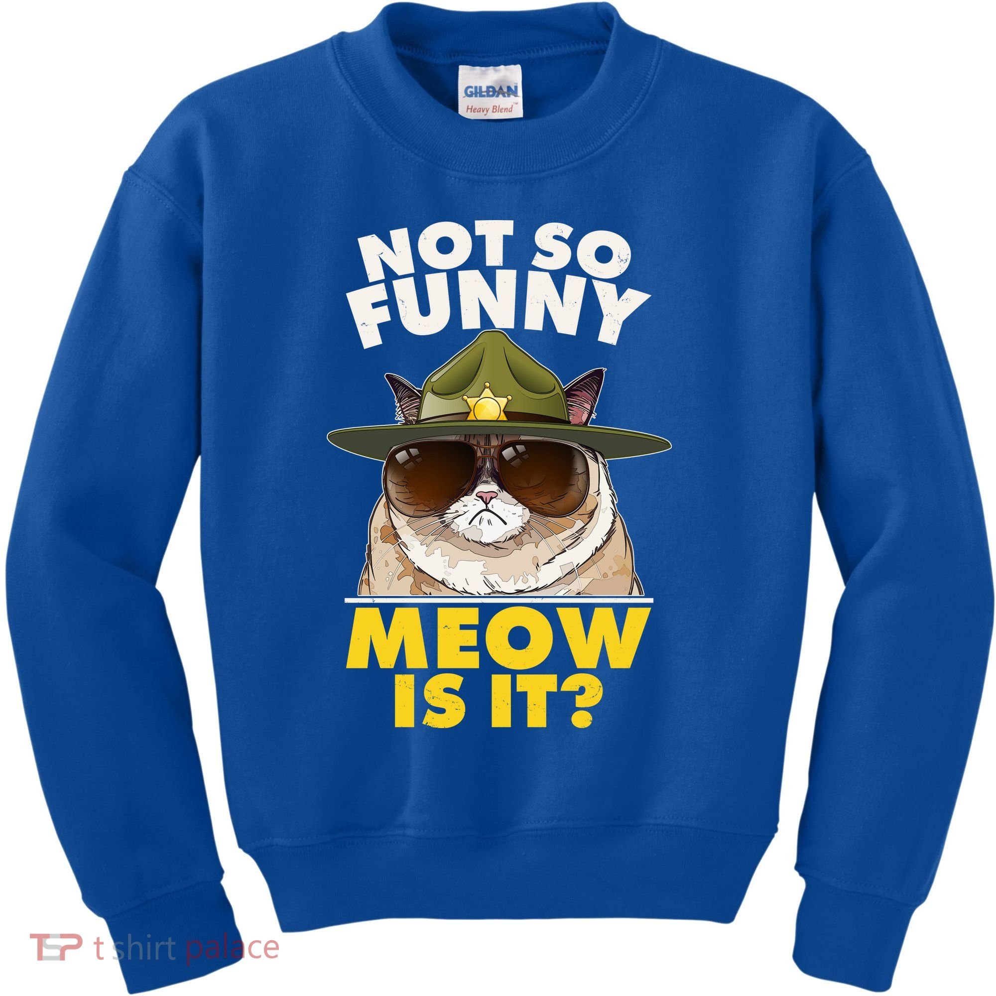 Not So Funny Meow Is It Grumpy Cat Police Trooper Kids Sweatshirt