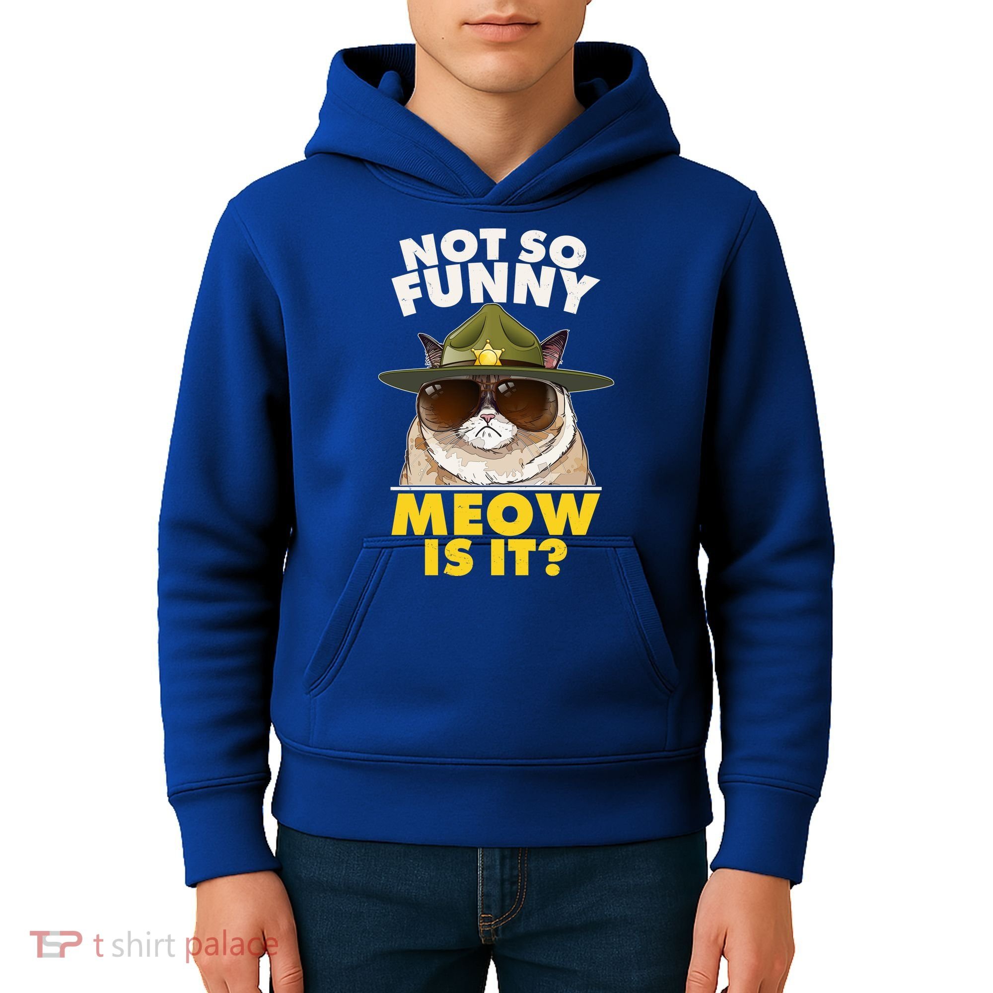 Not So Funny Meow Is It Grumpy Cat Police Trooper Kids Hoodie