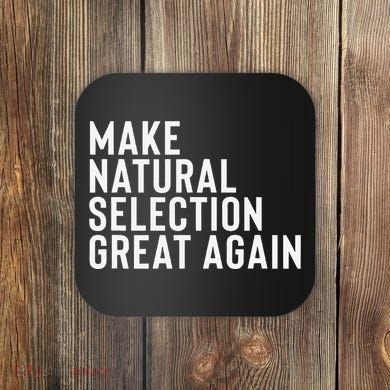 Natural Selection Humorous Funny Memes Humor Sarcastic Gift Coaster