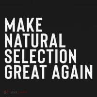 Natural Selection Humorous Funny Memes Humor Sarcastic Gift Women's Hoodie thumb 2