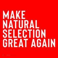 Natural Selection Humorous Funny Memes Humor Sarcastic Gift Santa Hat thumb 1