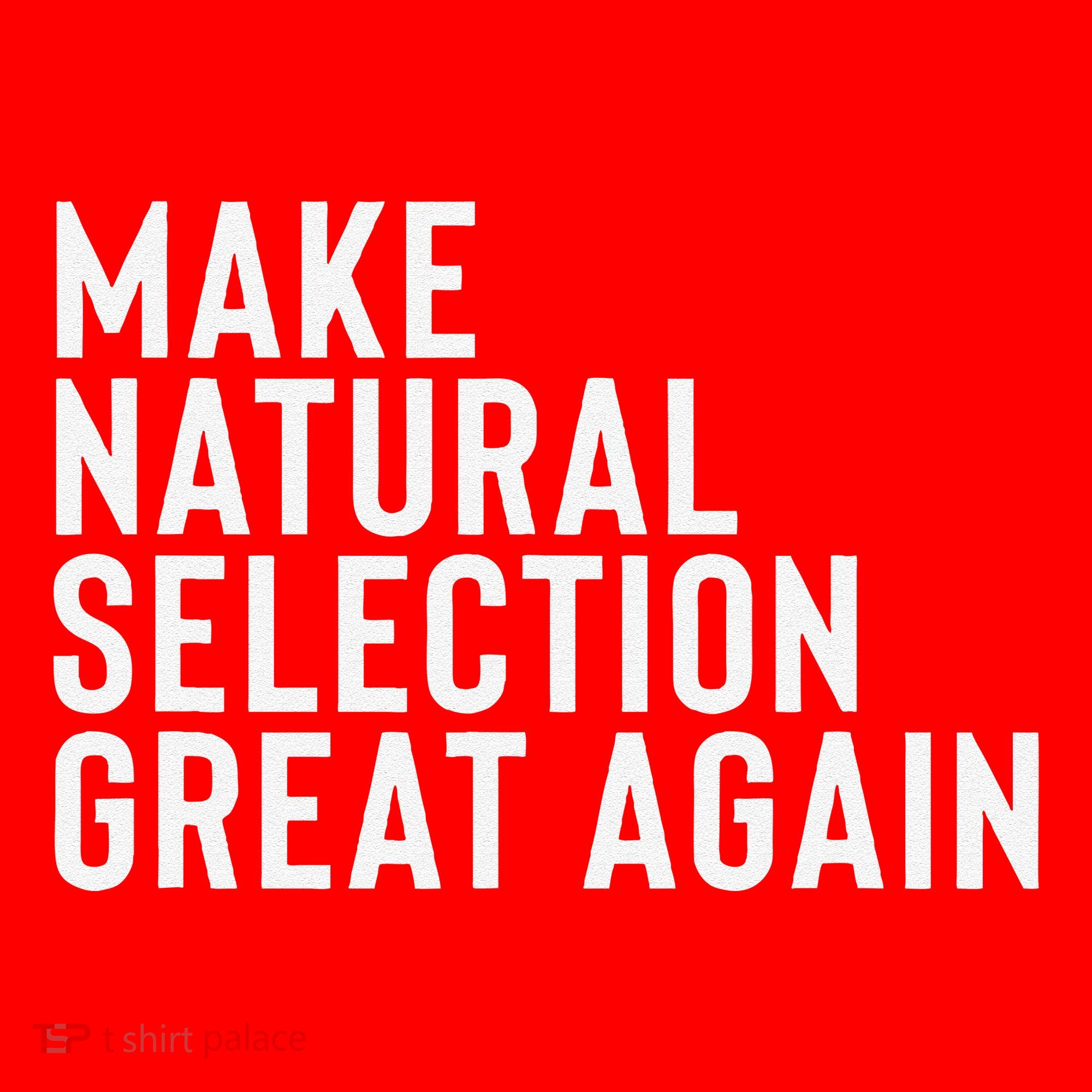 Natural Selection Humorous Funny Memes Humor Sarcastic Gift Santa Hat