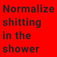 Normalize Shitting In The Shower Dank Meme Santa Hat thumb 1