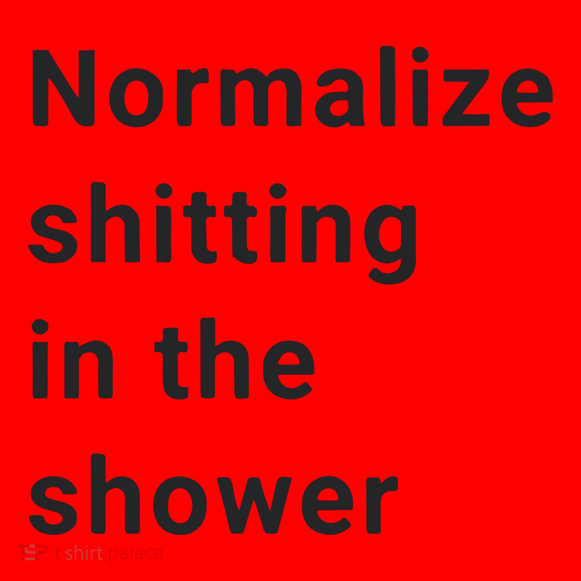 Normalize Shitting In The Shower Dank Meme Santa Hat