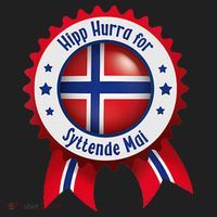 Norwegian Syttende Mai Celebration Hat thumb 2