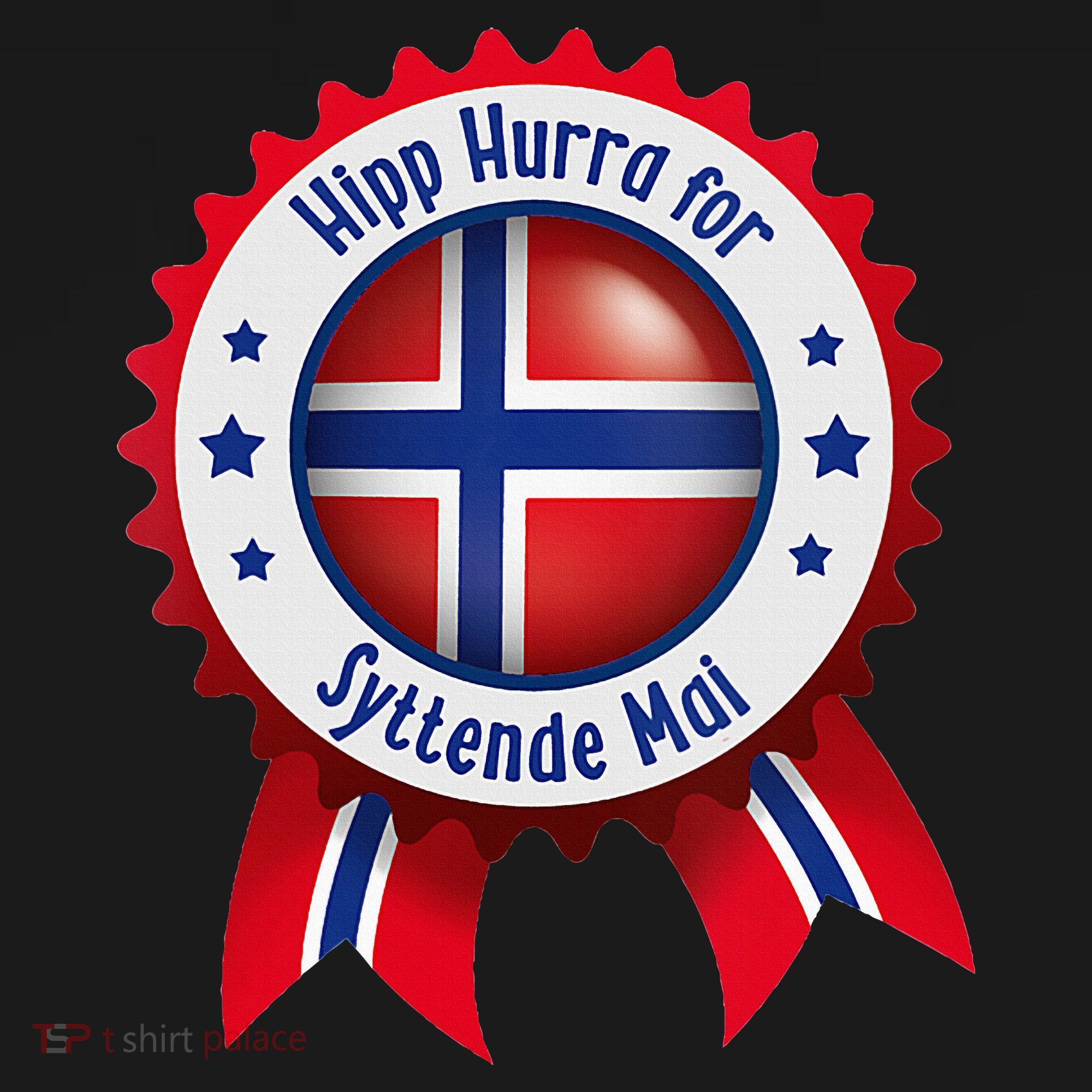 Norwegian Syttende Mai Celebration Toddler Hoodie
