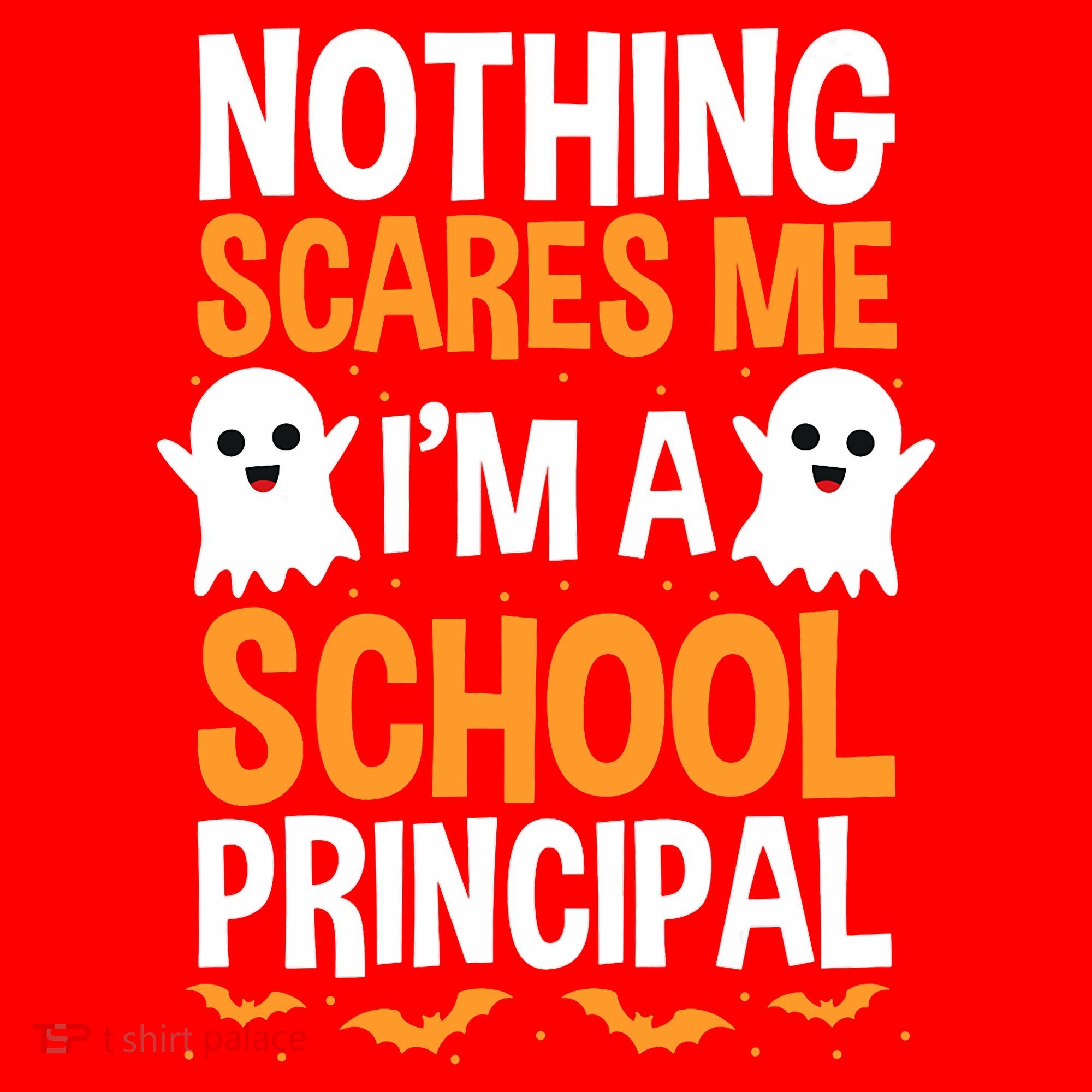 Nothing Scares Me IM A School Principal Halloween Costume Teacher Santa Hat
